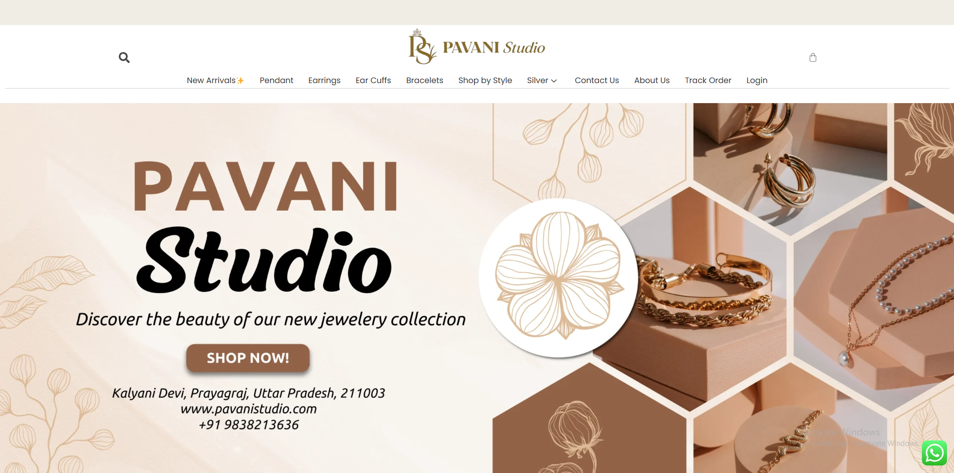 Pavani Studio