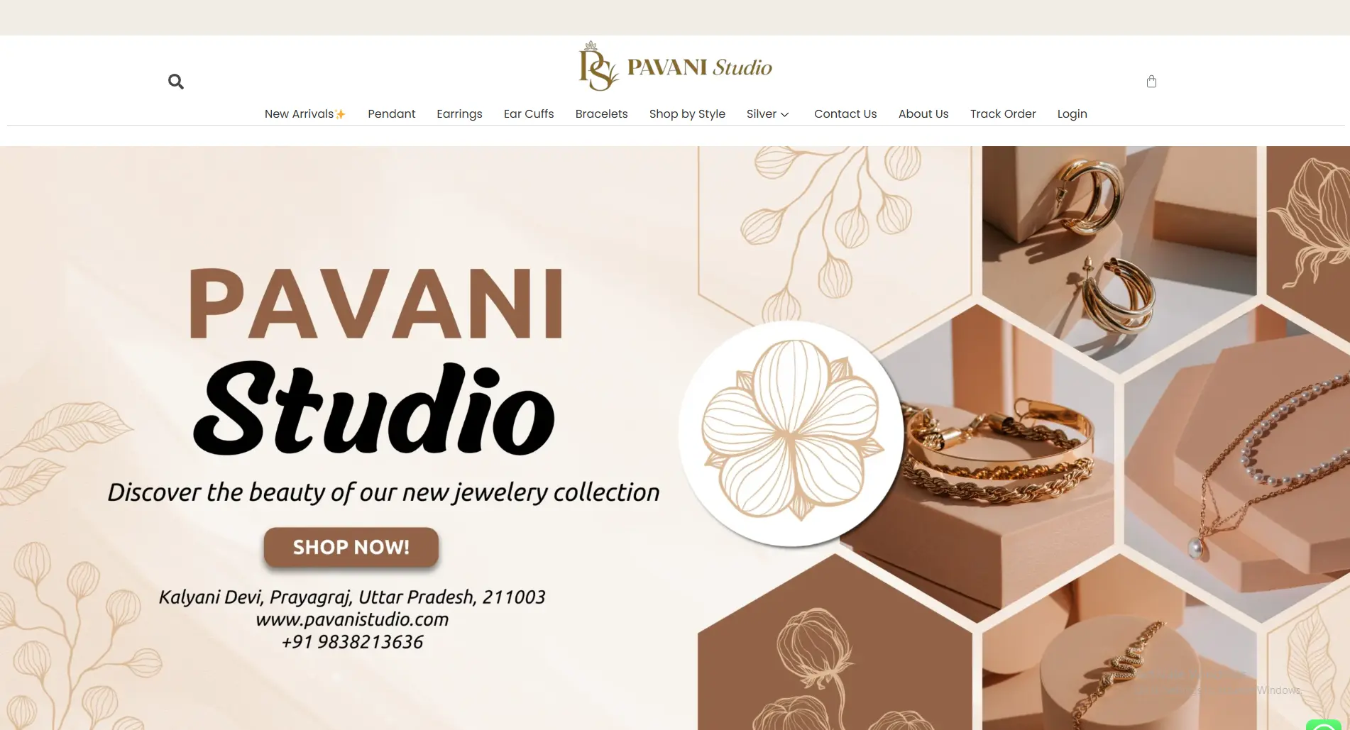 Website Maintenance 6 Pavani Studio